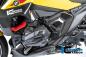 Preview: Rahmenabdeckung links Carbon glänzend BMW R 1300 R