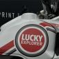 Preview: DUCATI Desert X (22-_) "LUCKY-EXPLORER" Dekor Stickerkit
