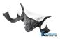 Preview: Instrumentenabdeckung matt Carbon Panigale 1299 (ab 2015)