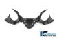 Preview: Instrumentenabdeckung matt Carbon Panigale 1299 (ab 2015)