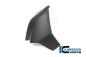 Preview: Radiator cover right matt Diavel 1260