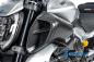 Preview: Luftkanaleinlassverkleidung links Ducati Diavel V4 ab 2023 matt