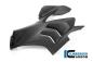 Preview: Verkleidungsseitenteil links matt Panigale V4 R Racing