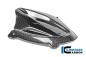 Preview: Instrumentenabdeckung Carbon glanz Panigale V4 2025