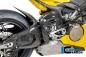 Preview: Exhaust Heat Shield Carbon Gloss Panigale V4 2025