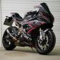Mobile Preview: BMW S1000RR 19-22 (K67) Graphics Stickerkit "RACESTP" black/red/white