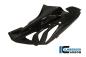 Preview: Verkleidungsseitenteil Racing 2012 Carbon