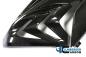 Preview: Fairing Side Panel Right Racing Carbon