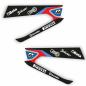 Preview: BMW S1000RR (19-_) Schwingendekor Schwarz | Blau | Rot Preview: BMW S1000RR (19-_) Schwingendekor Schwarz | Blau | Rot