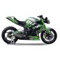 Preview: TRIUMPH Streettriple 13-17 Dekor Stickerkit "BULLS - Green"