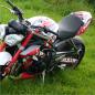 Preview: TRIUMPH Streettriple 13-17 Dekor Stickerkit "BULLS - Red"