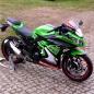 Preview: Kawasaki Ninja 300 13-16 Dekor Stickerkit