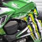 Preview: Kawasaki Z800 "Monster" 13-16 Motorrad Dekor Stickerkit