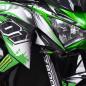 Preview: Kawasaki Z800 "Monster" 13-16 Motorrad Dekor Stickerkit