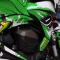 Preview: Kawasaki Z800 "Monster" 13-16 Motorrad Dekor Stickerkit