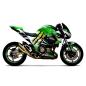 Preview: Kawasaki Z800 "Monster" 13-16 Motorrad Dekor Stickerkit