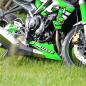 Preview: TRIUMPH Streettriple 13-17 Dekor Stickerkit "BULLS - Green"