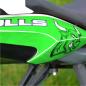 Preview: TRIUMPH Streettriple 13-17 Dekor Stickerkit "BULLS - Green"