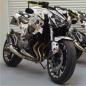 Preview: Kawasaki Z800 "Gambling" 13-16 Motorrad Dekor Stickerkit