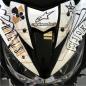Preview: Kawasaki Z800 "Gambling" 13-16 Motorrad Dekor Stickerkit
