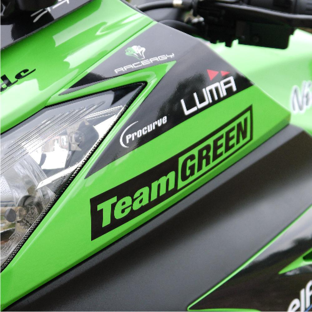 Kawasaki Ninja 300 Schwarz 13-16 Dekor Stickerkit inkl. Felgenrandaufkleber