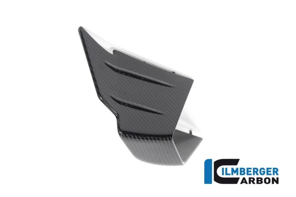 Winglet links BMW M 1000 RR Bj 2021-2022