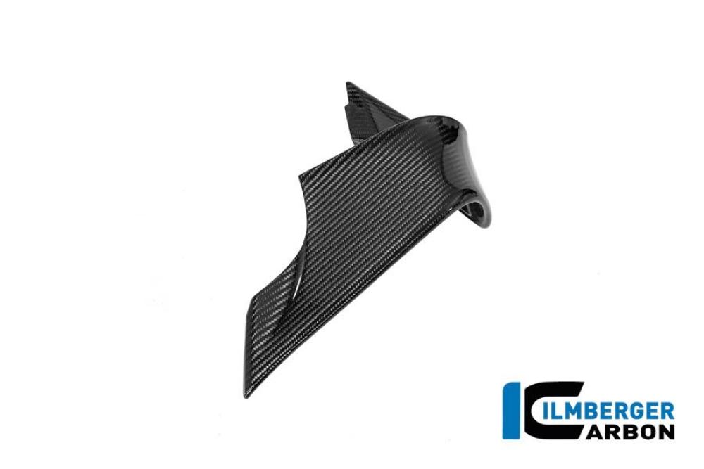 Winglet links BMW M 1000 RR 2025