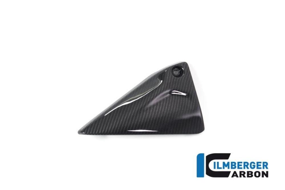 Frame Triangle Cover left Side BMW R 1250 GS / R 1250 R and RS