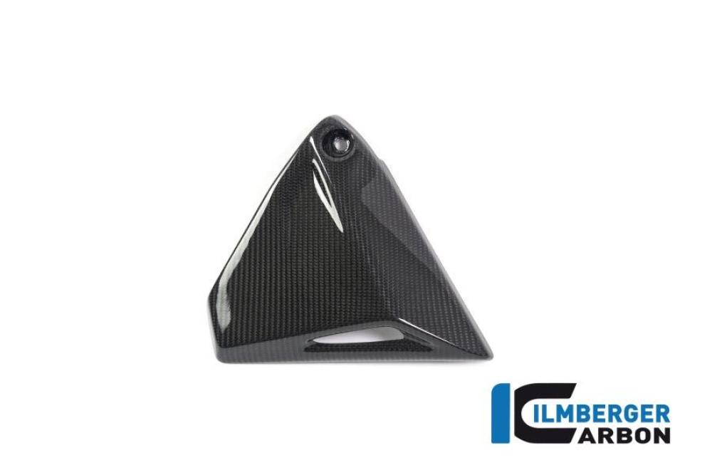 Frame Triangle Cover right Side BMW R 1250 GS / R 1250 R and RS