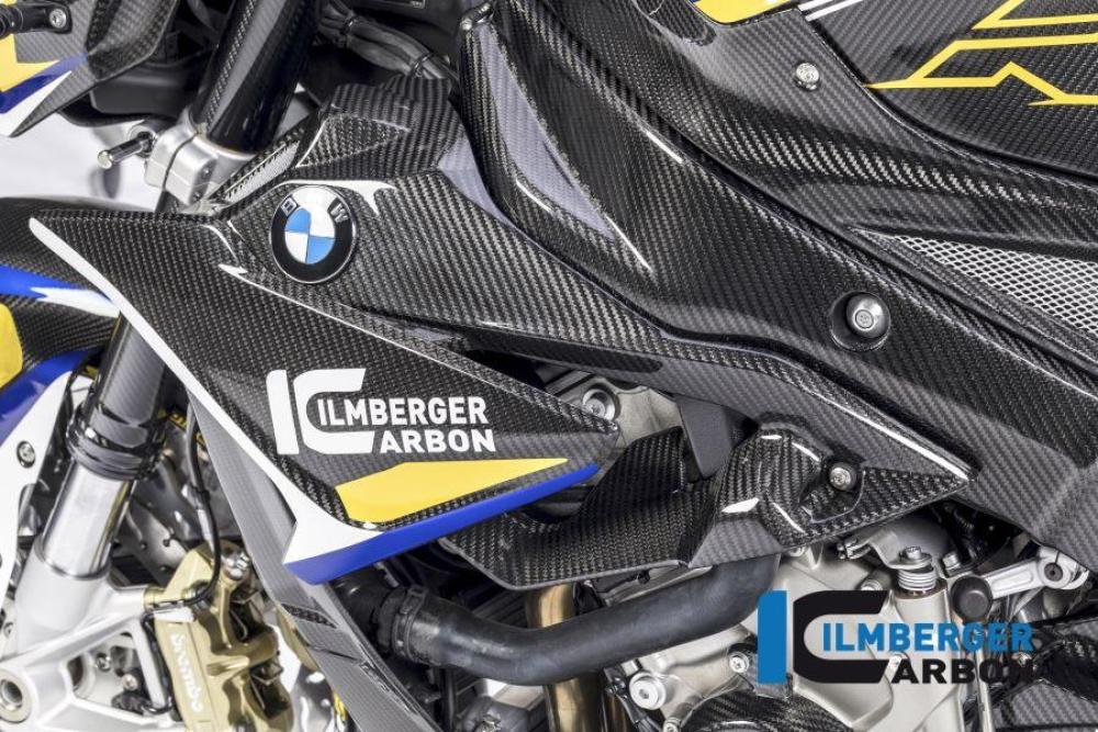 Radiator cover / Badge holder left side - BMW S 1000 R (ab 2017)