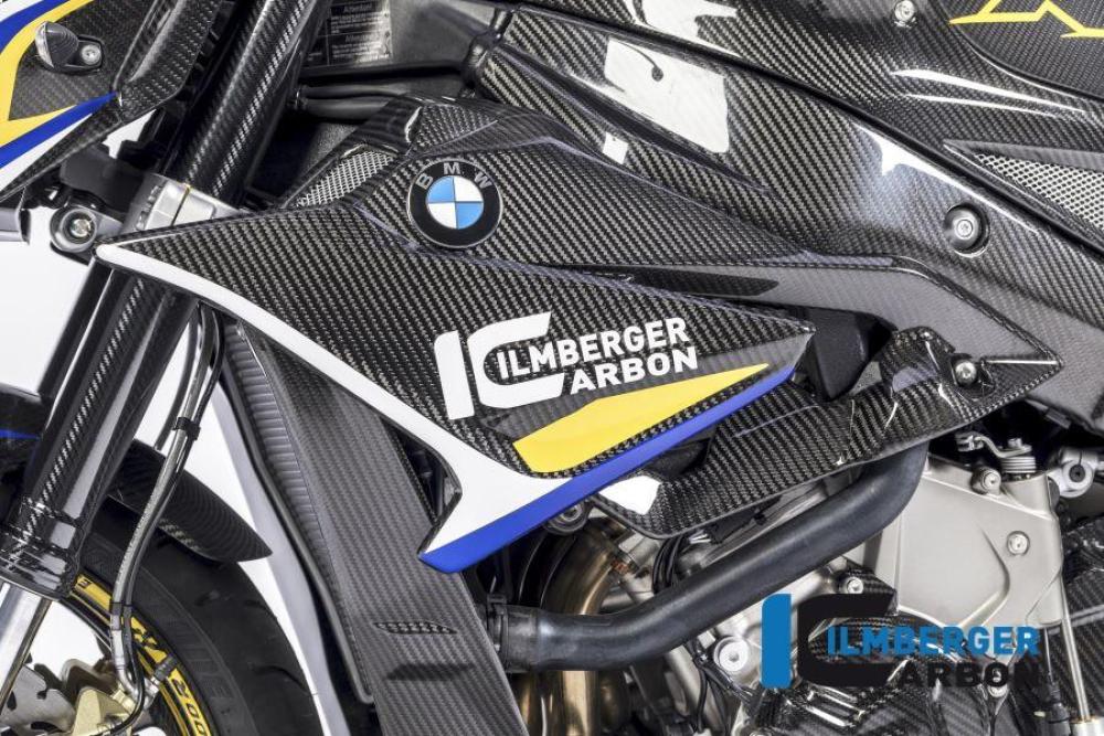 FAIRING SIDE PANEL (LEFT) - BMW S 1000 RR (ab 2017)