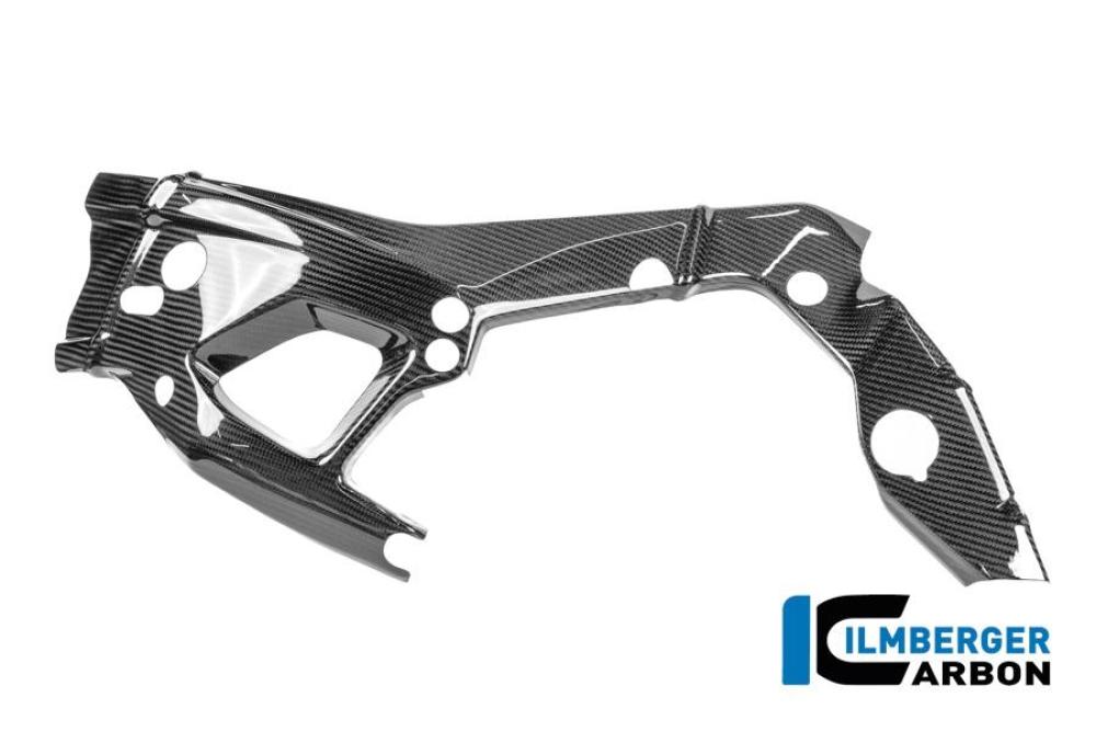 Rahmenschützer links Carbon glanz M 1000 RR Straße (ab 2025)