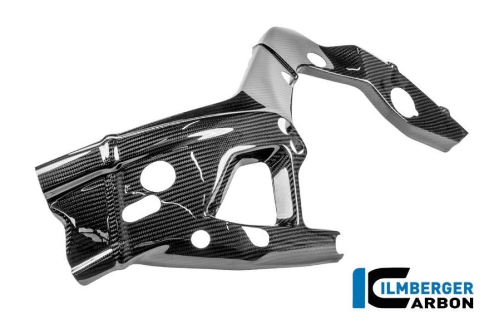 Rahmenschützer links Carbon glanz M 1000 RR Straße (ab 2025)
