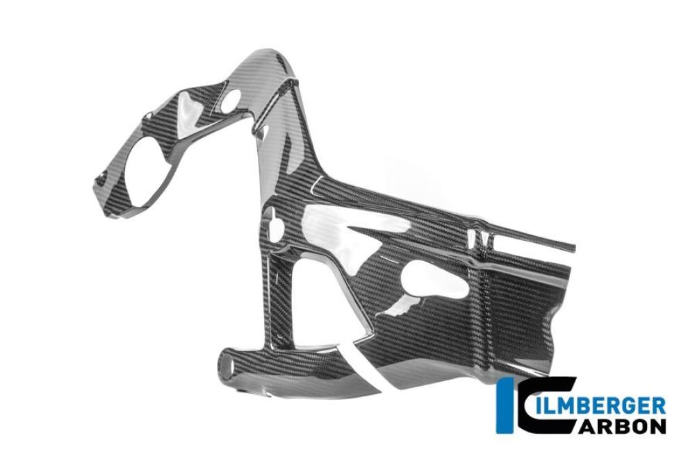 Rahmenschützer rechts Carbon glanz M 1000 RR Straße (ab 2025)