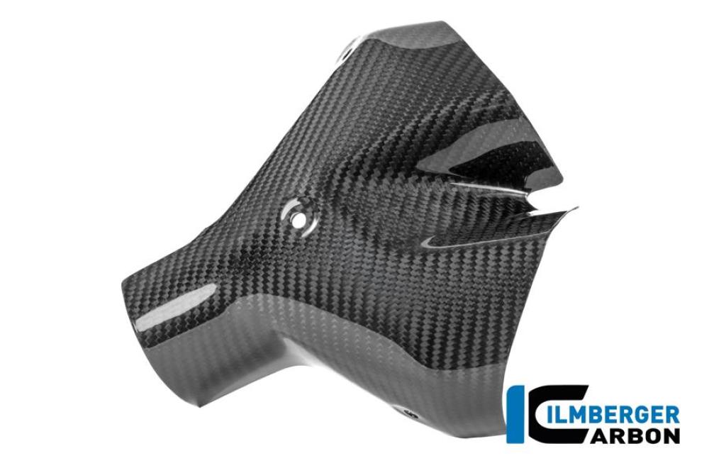 Auspuffhitzeschutz vorne Carbon glänzend BMW R 1300 R