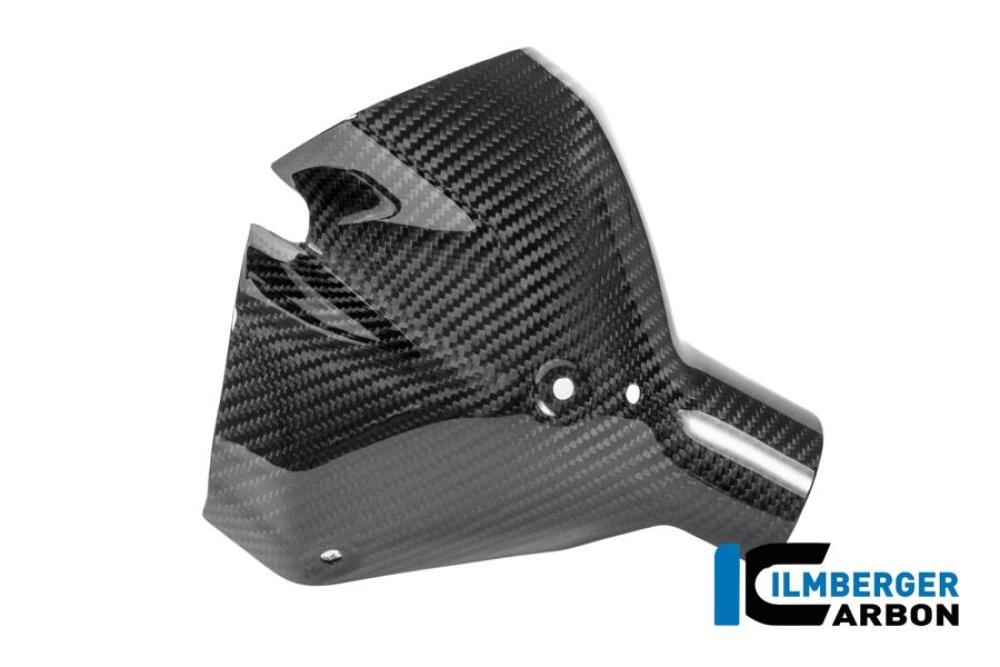 Auspuffhitzeschutz vorne Carbon glänzend BMW R 1300 R
