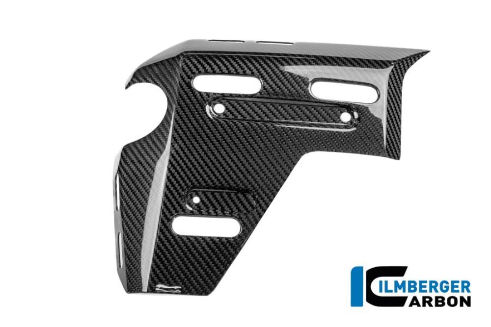 Wasserkühlerabdeckung links mit Löchern für den Kofferhalter Carbon glänzend R 1300 GS Adventure