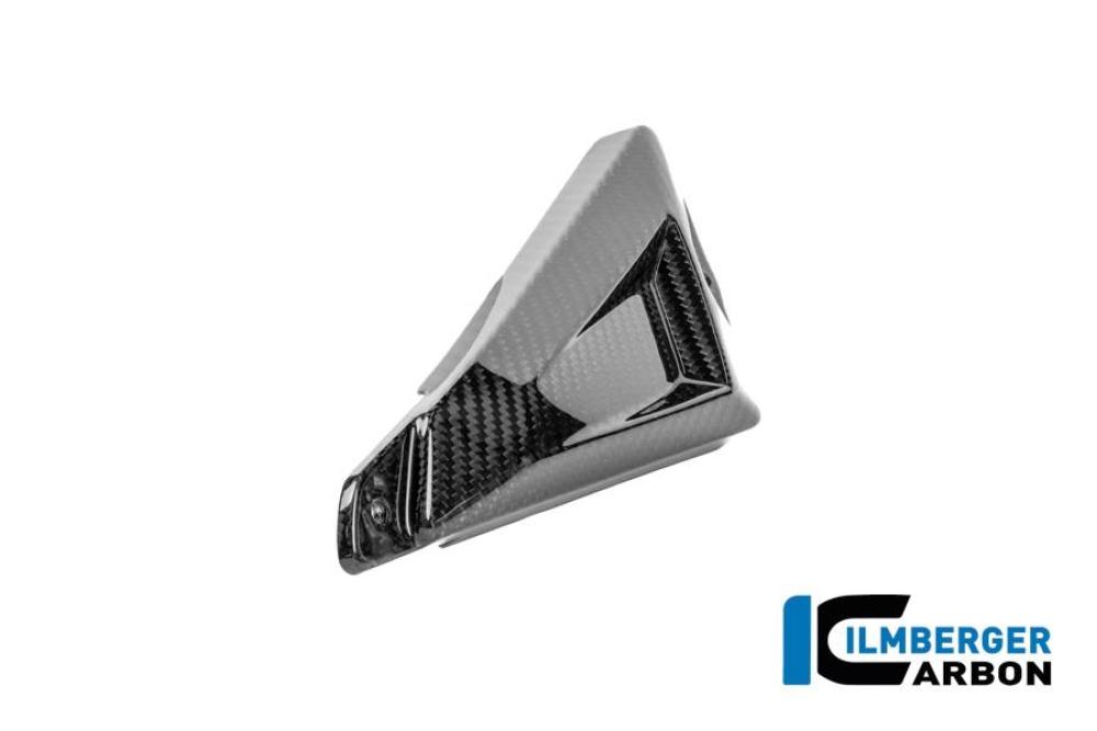 Hinterer Dreieckdeckel für hinteren Rahmen rechts Carbon glänzend R 1300 GS Adventure