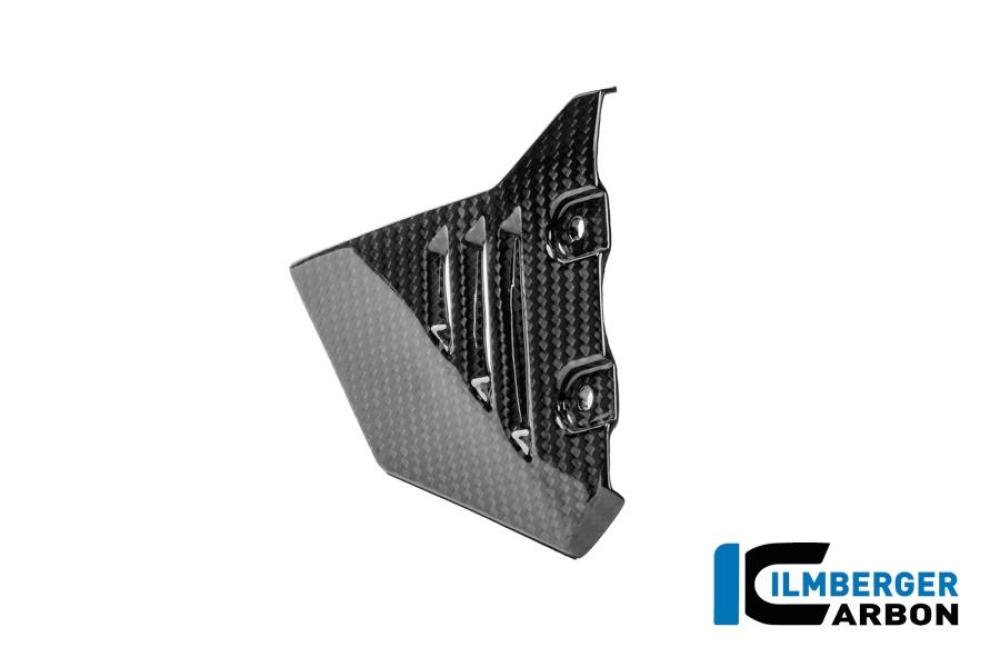 Vordere Dreiecksabdeckung für Rahmenheck links Carbon glänzend R 1300 GS Adventure