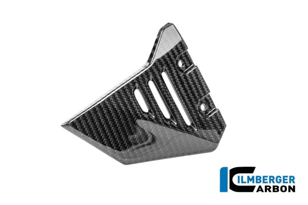 Vordere Dreiecksabdeckung für Rahmenheck links Carbon glänzend R 1300 GS Adventure