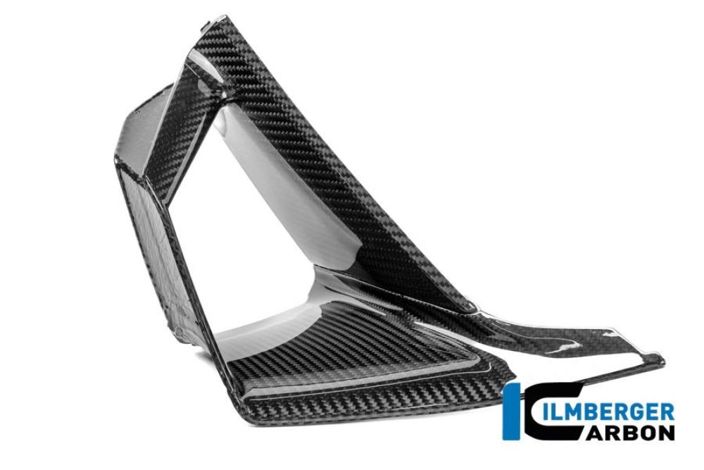 Innenflügel links Carbon glanz S 1000 RR Straße (ab 2025)