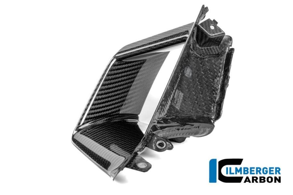 Innenflügel links Carbon glanz S 1000 RR Straße (ab 2025)