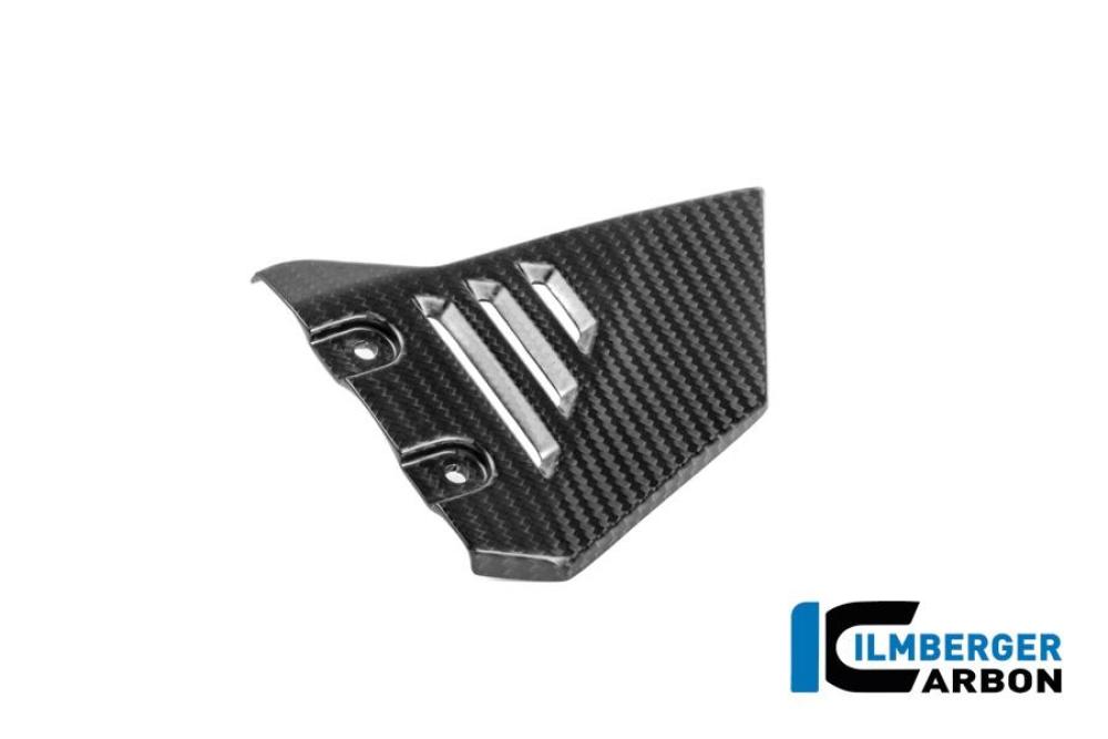 Vorderes Dreieck-Abdeckung für hinteren Rahmen rechts Carbon matt R 1300 GS Adventure