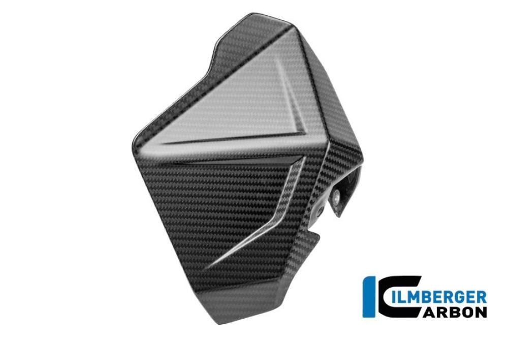 Windabweiser rechts Carbon matt R 1300 GS Adventure