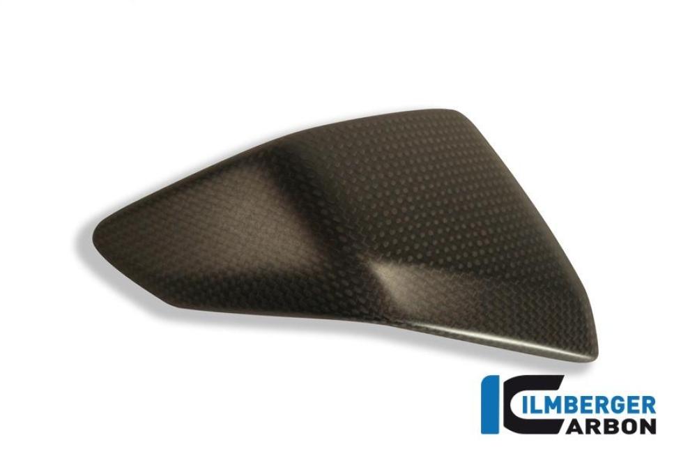 Left side fairing insert carbon