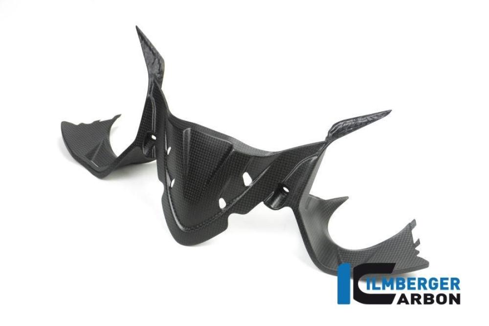 Instrumentenabdeckung matt Carbon Panigale 1299 (ab 2015)