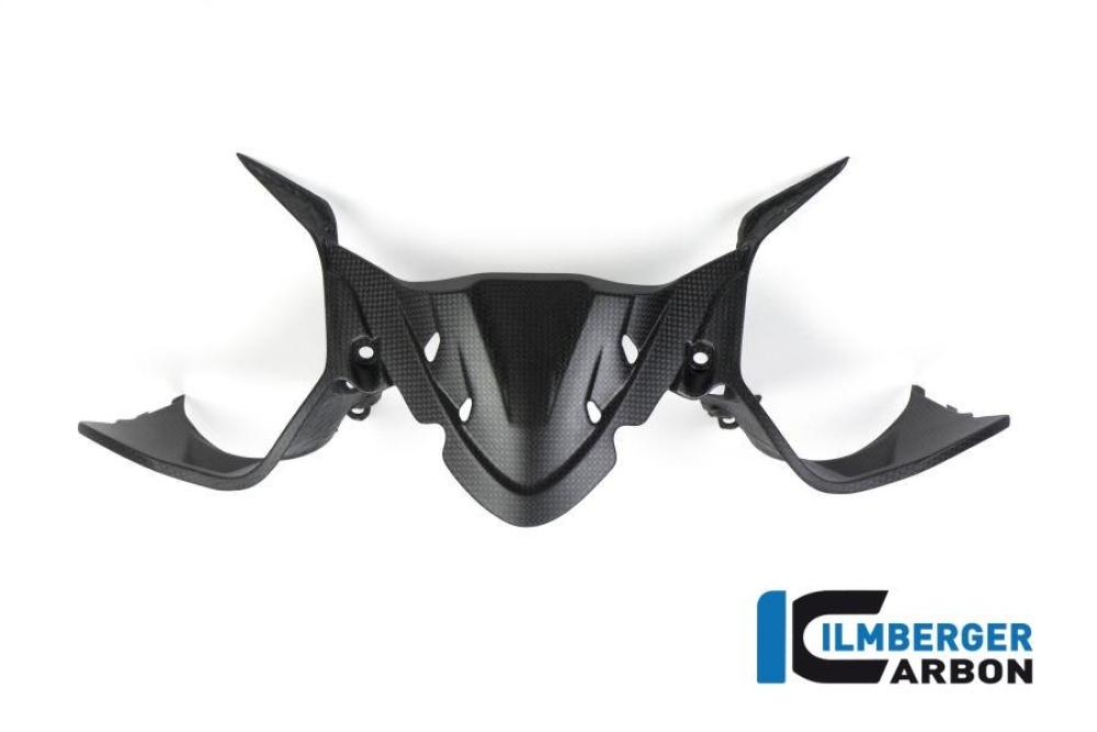 Preview: Instrumentenabdeckung matt Carbon Panigale 1299 (ab 2015)
