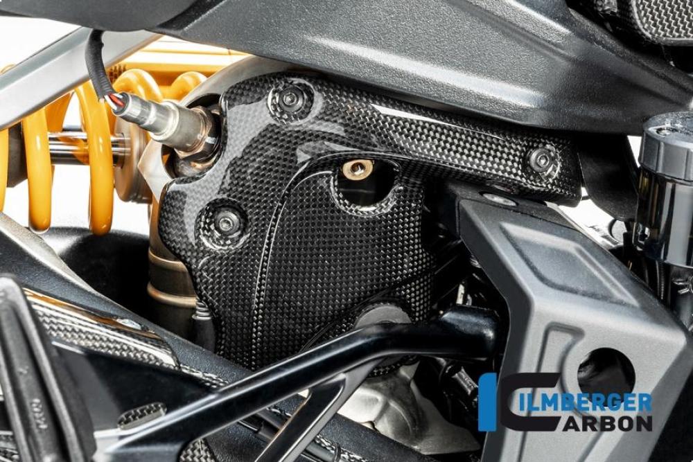 Auspuffhitzeschutz am Krümmer glanz Diavel 1260