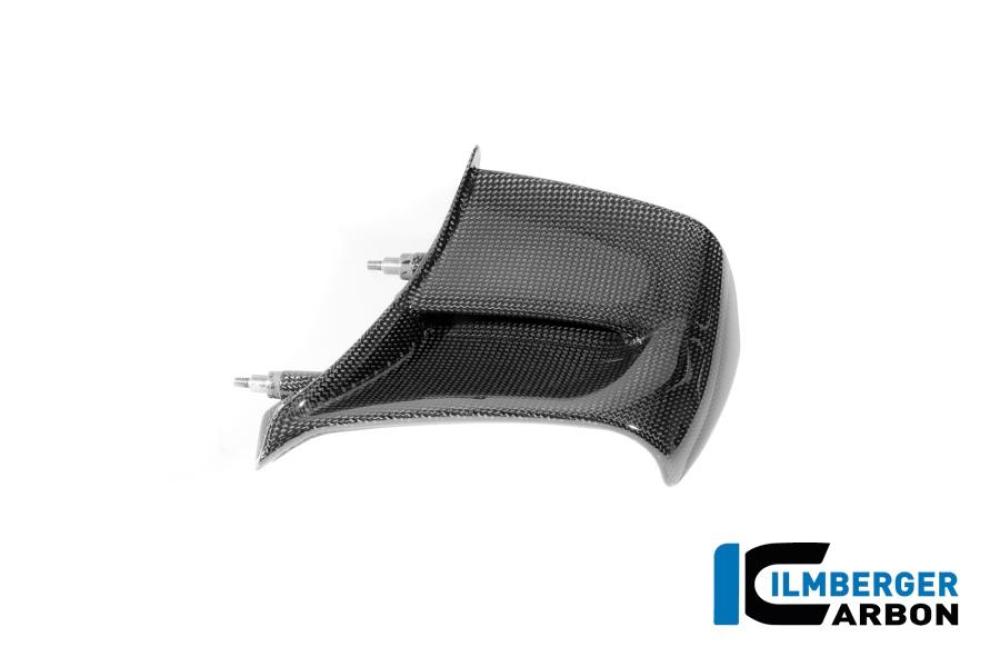 Winglet links Carbon glanz Panigale V4 2025