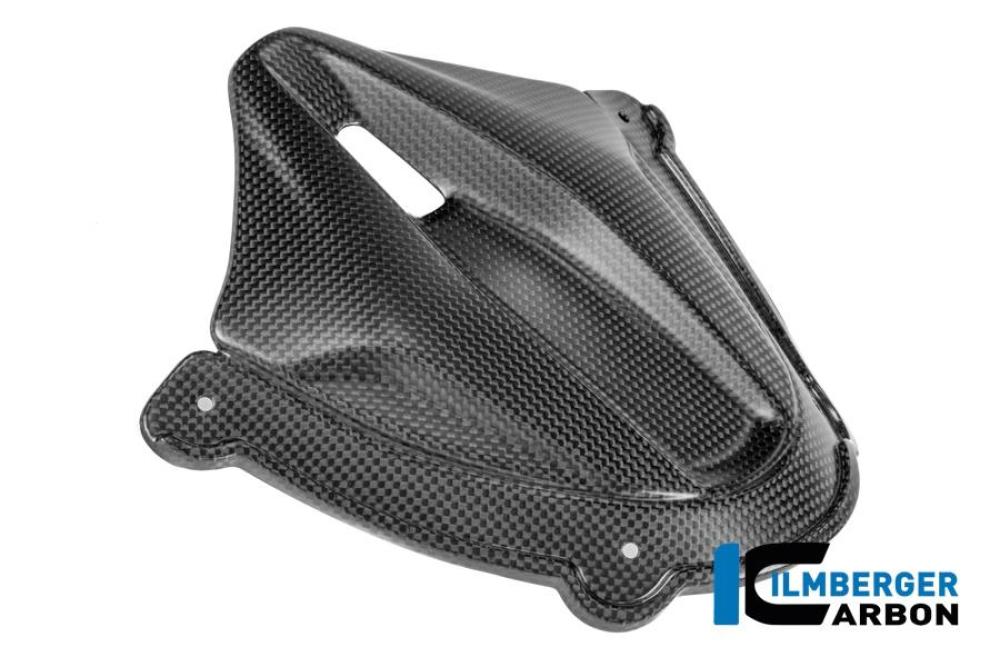 Instrumentenabdeckung Carbon matt Panigale V4 2025